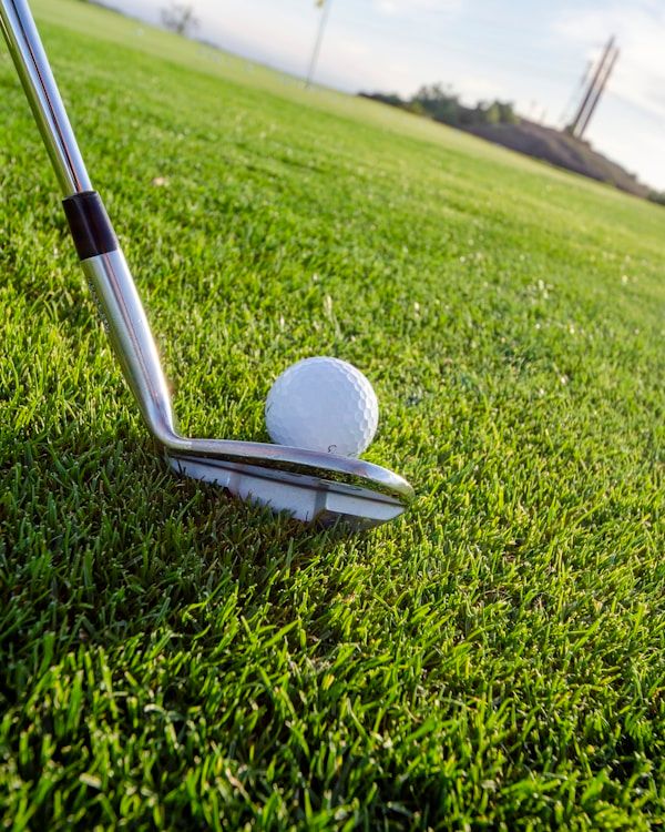 Golfer Training